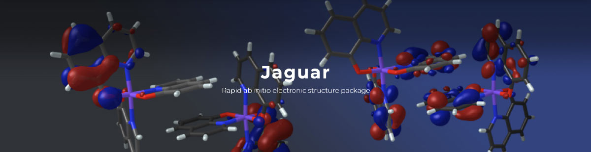 SCHRÖDINGER jaguar