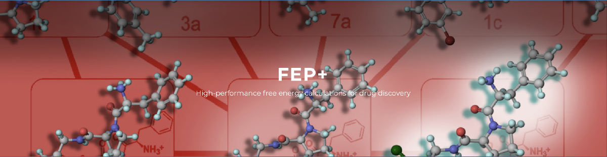 SCHRÖDINGER fep